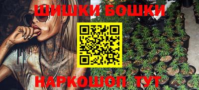 бошки Славгород
