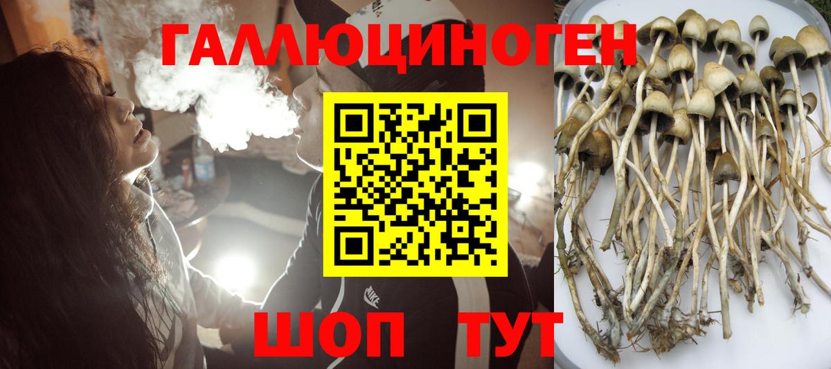 Галлюциногенные грибы мицелий Аша