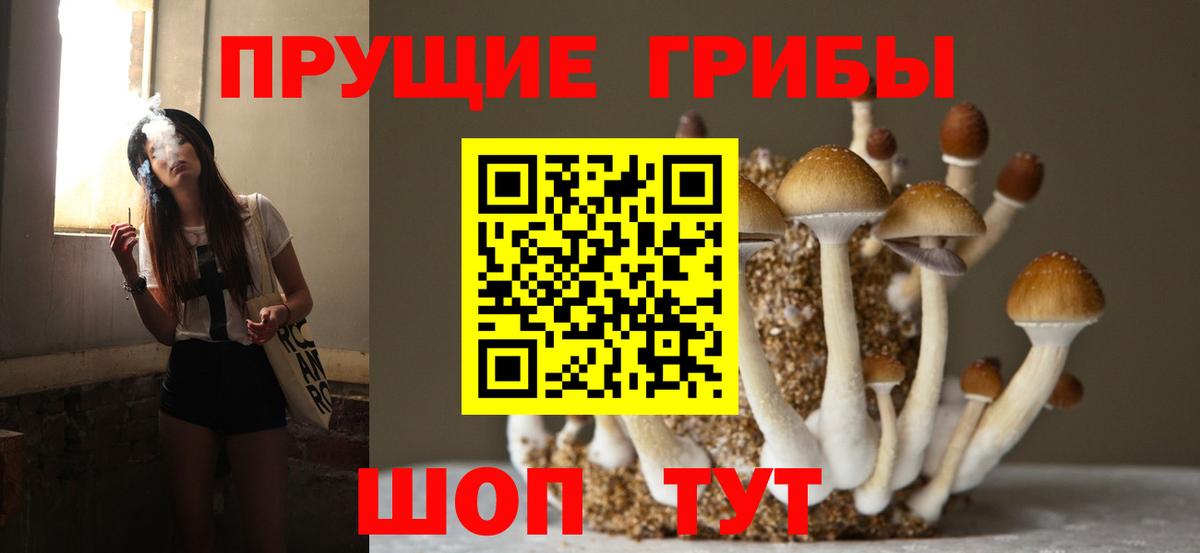Галлюциногенные грибы Magic Shrooms  Вход с VPN  Аша 
